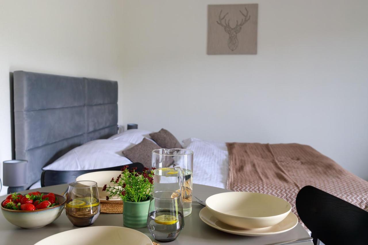 Hill House Apartamenty Bialka Tatrzanska Dış mekan fotoğraf